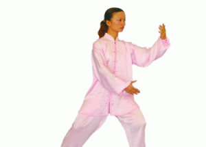 Tai-ji subdues  Judo grasp by waving hand （云手）