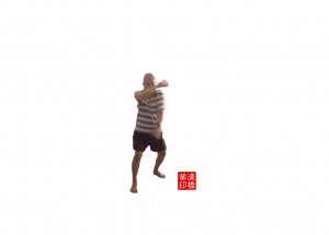 太 极 散手(tai-ji extra form):交臂盘龙掌(cross-hand circular strike)