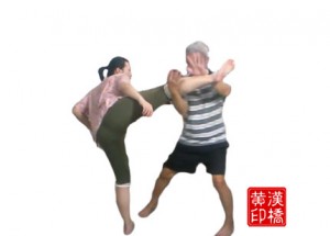 Tai-ji : 野马分鬃 subdues high kick