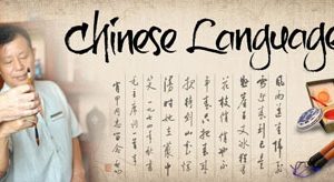 The mystery of the Chinese language